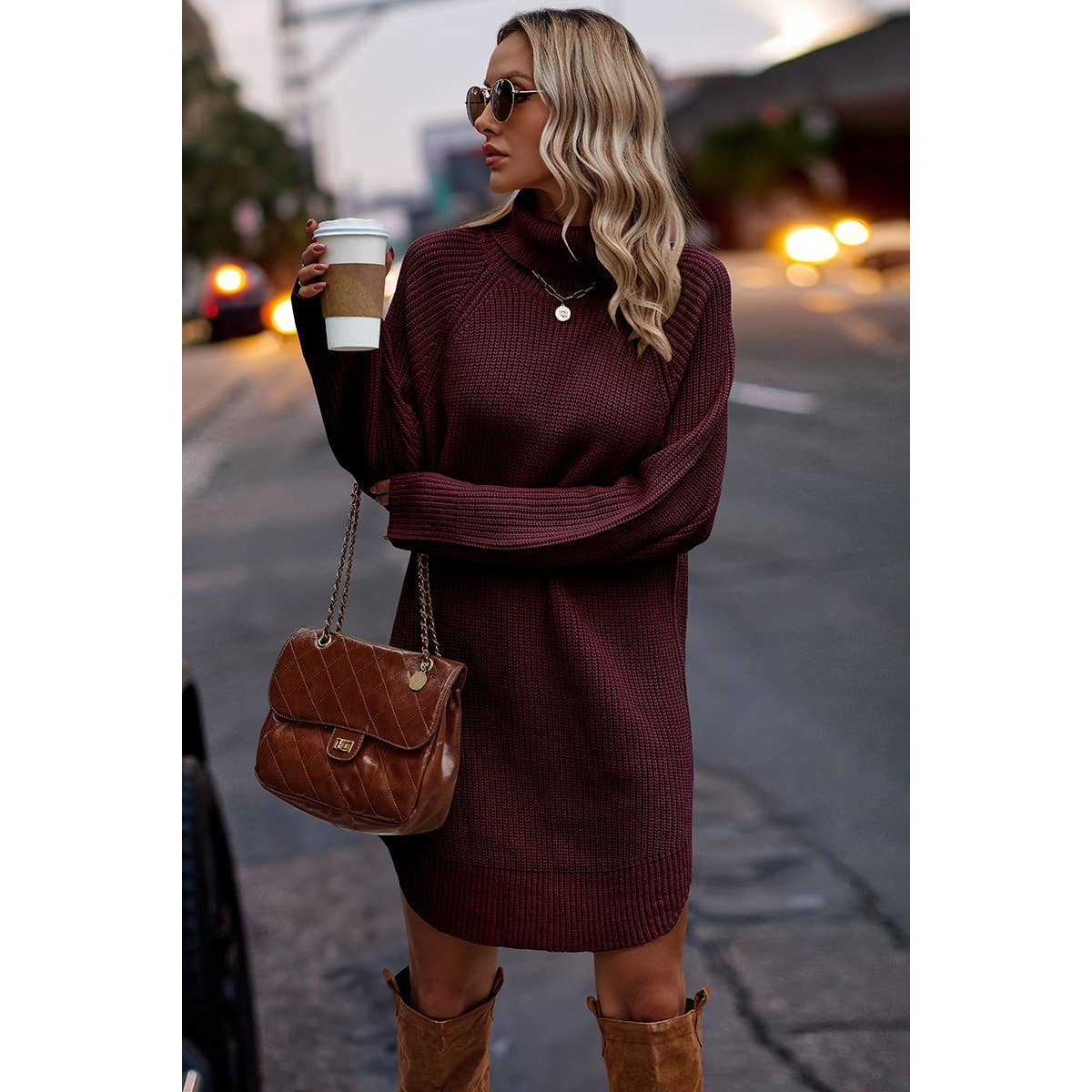 Thick Knit Roll Neck Solid Loose Fit Sweater Dress