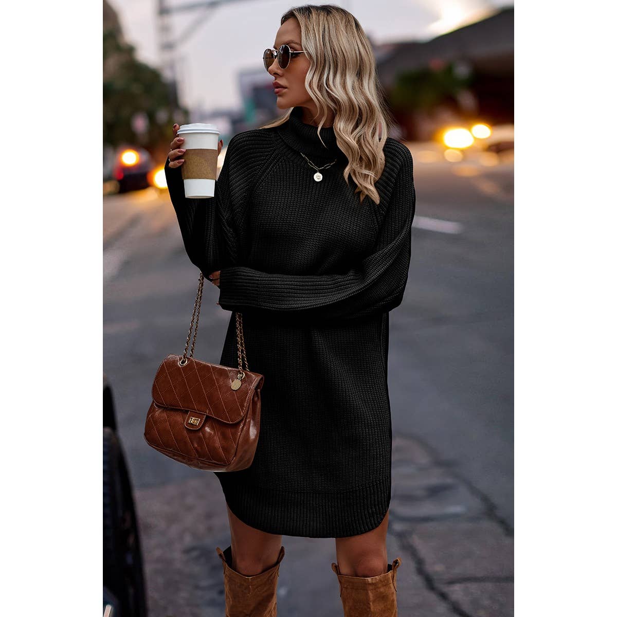 Thick Knit Roll Neck Solid Loose Fit Sweater Dress