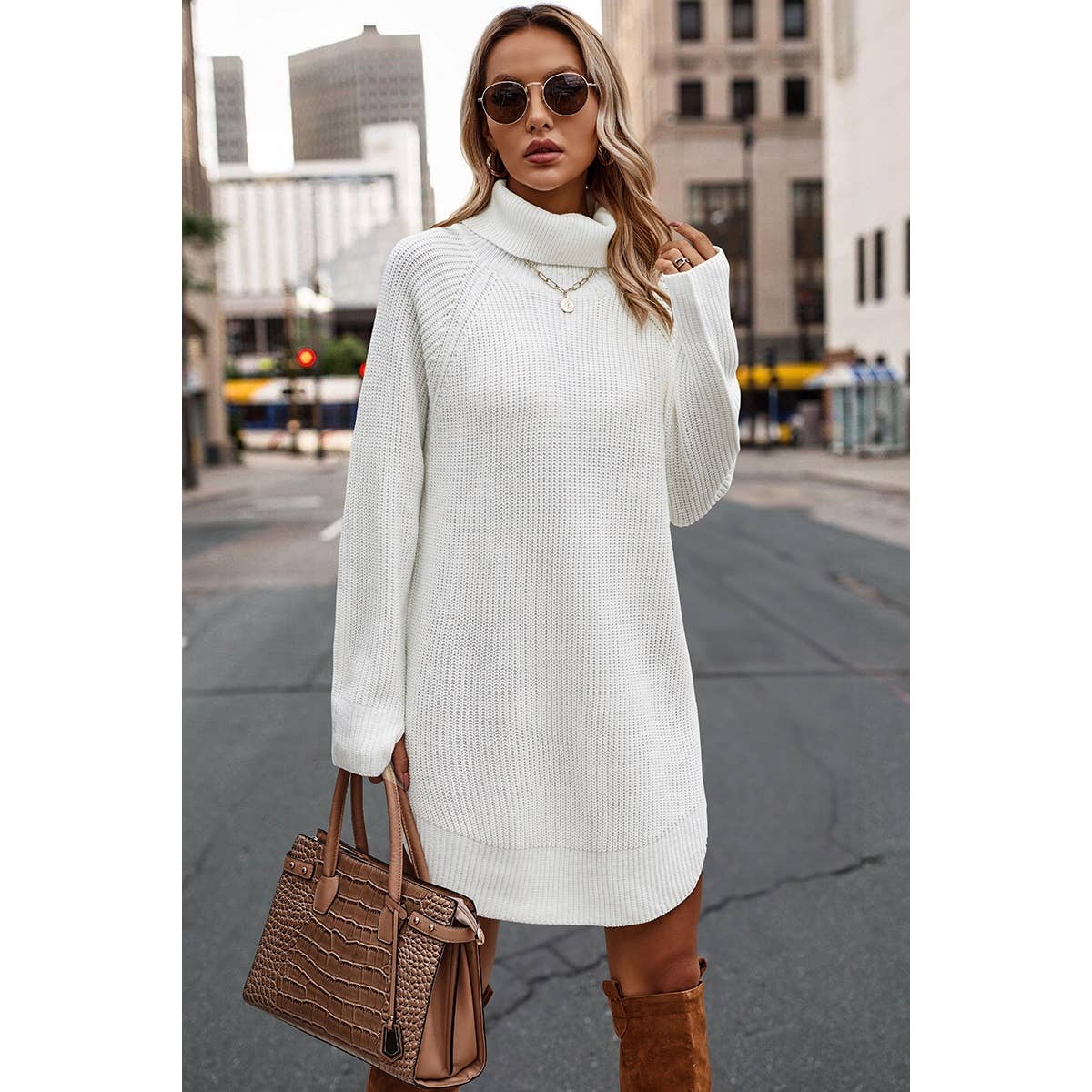 Thick Knit Roll Neck Solid Loose Fit Sweater Dress