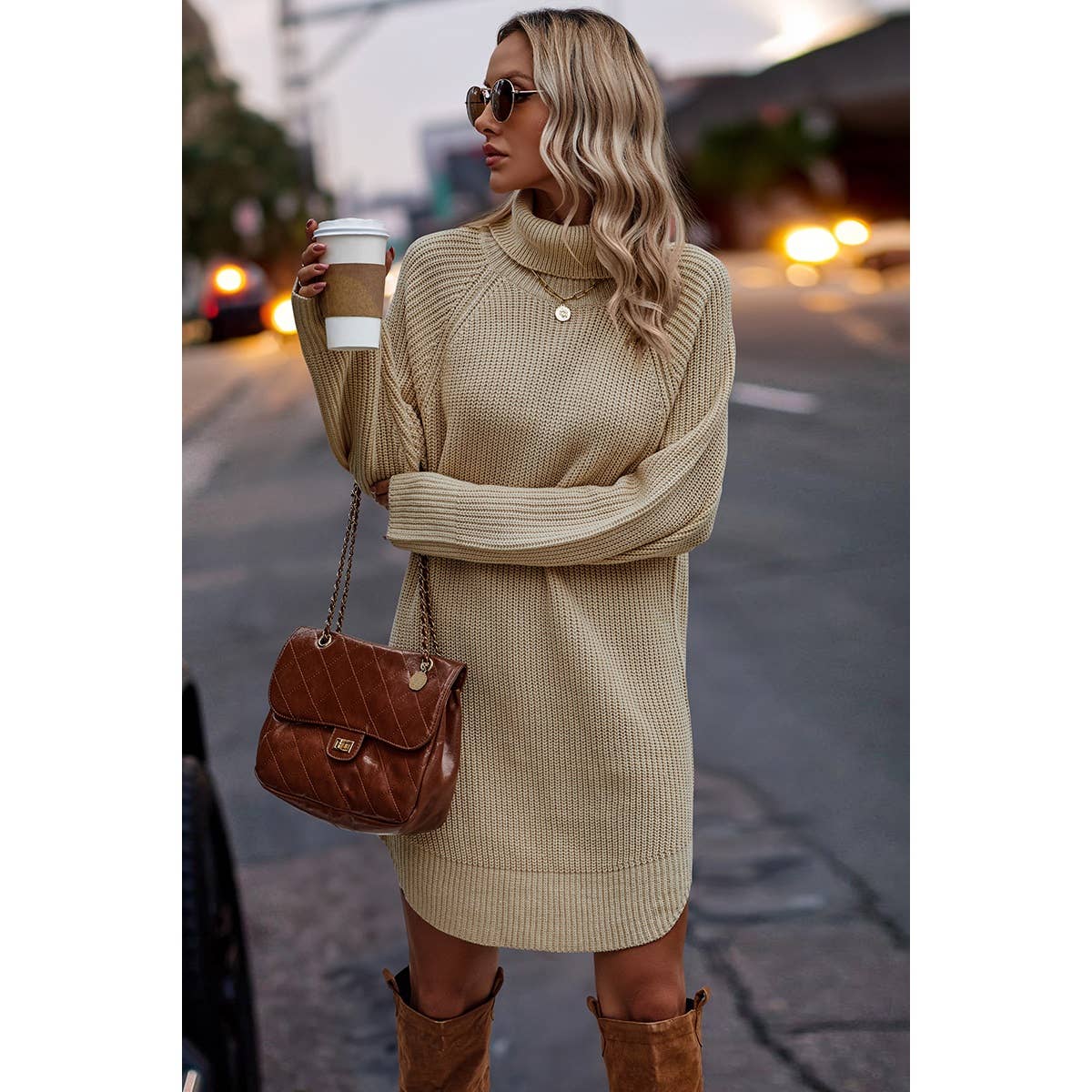 Thick Knit Roll Neck Solid Loose Fit Sweater Dress