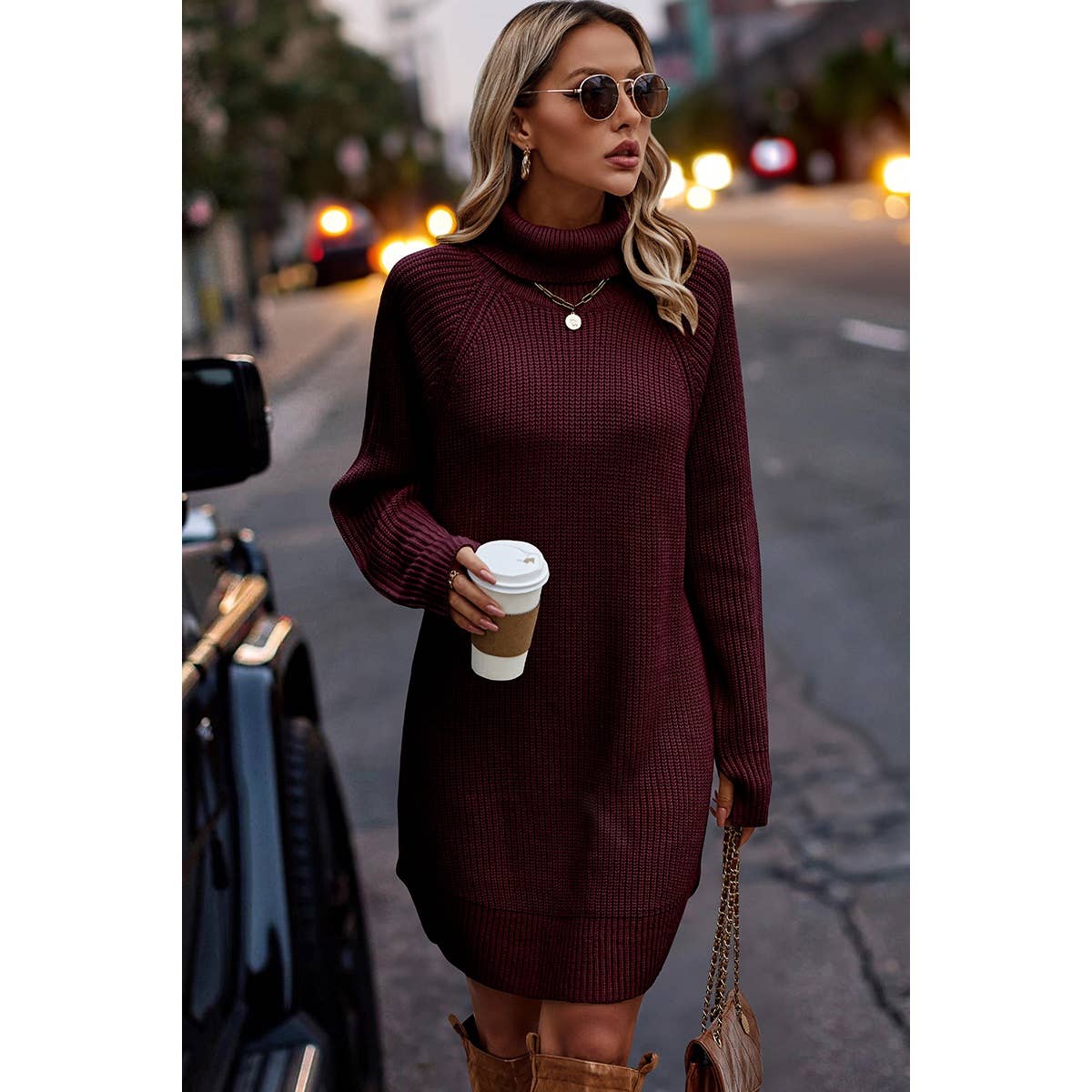 Thick Knit Roll Neck Solid Loose Fit Sweater Dress