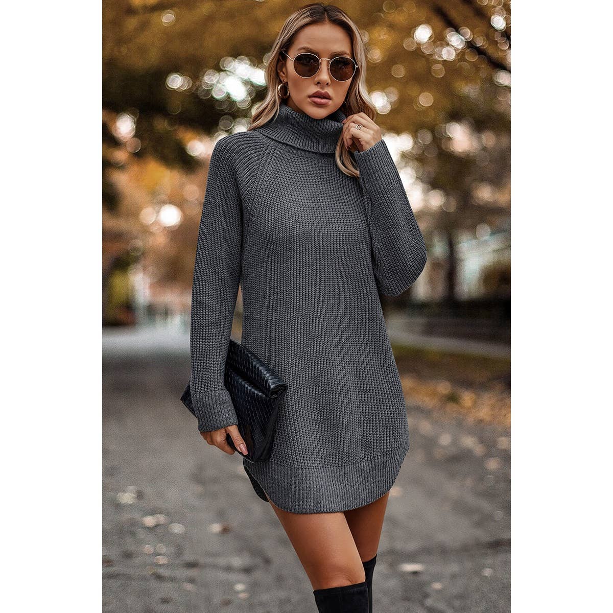 Thick Knit Roll Neck Solid Loose Fit Sweater Dress